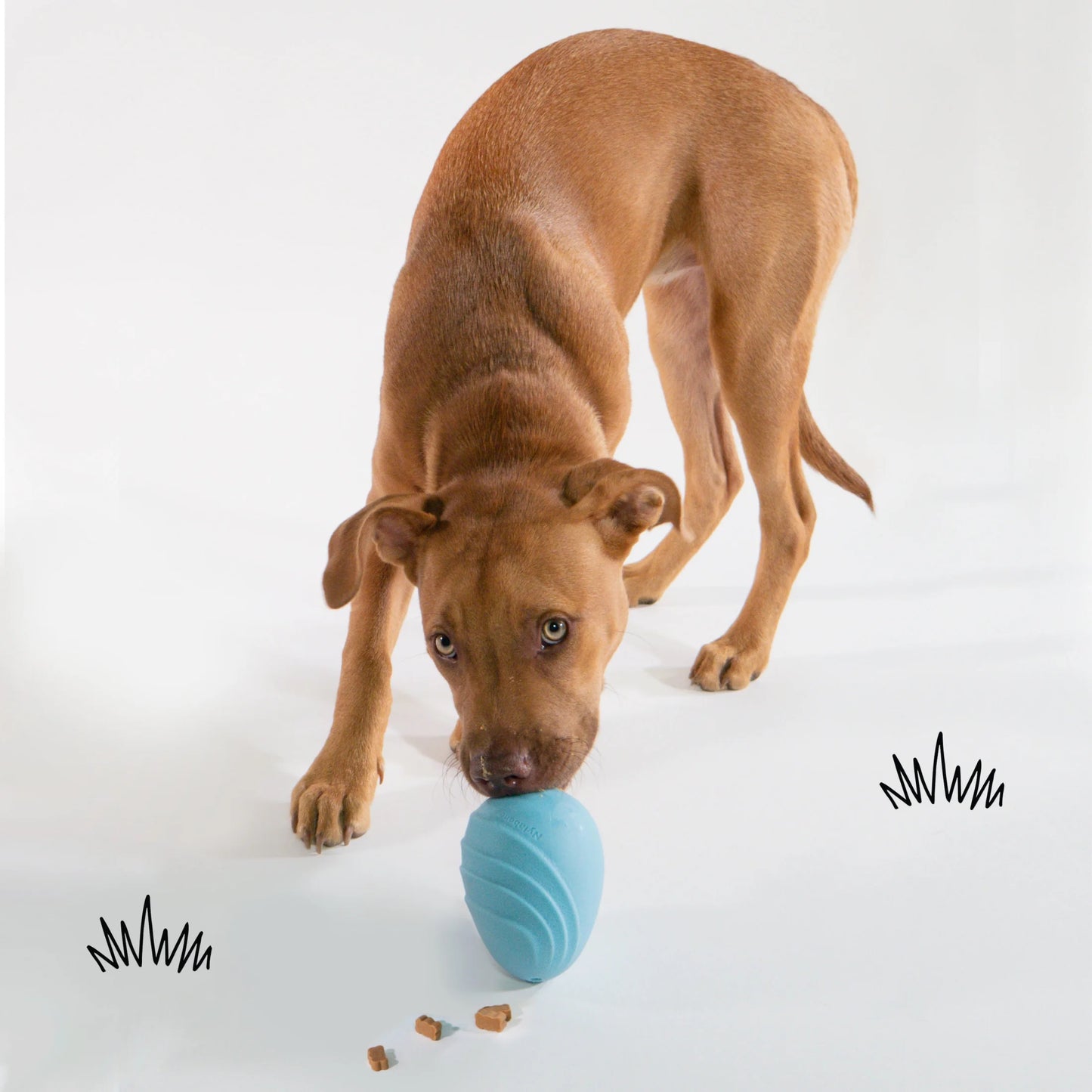 C-Shuu Interactive Dog Toy, Lightweight Squishy Toy for Creative Play & Exercise