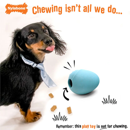 C-Shuu Interactive Dog Toy, Lightweight Squishy Toy for Creative Play & Exercise